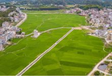 在农村,如何申请新宅基地?选择新的宅基地时,要注意什么?-珍墅网