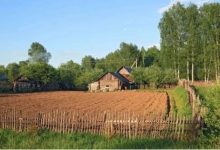 我国建筑给排水设计规范有何规定?农村房屋给排水有何注意事项?-珍墅网