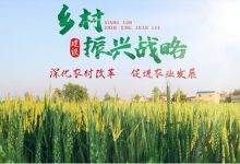 乡村振兴还要多久能实现?什么时候能住上大别墅?-珍墅网