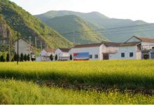 农村自建房转让有哪些要求？办理转让手续需要按照什么流程？-珍墅网